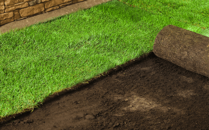 Sod Installation Services in Yorktown, VA